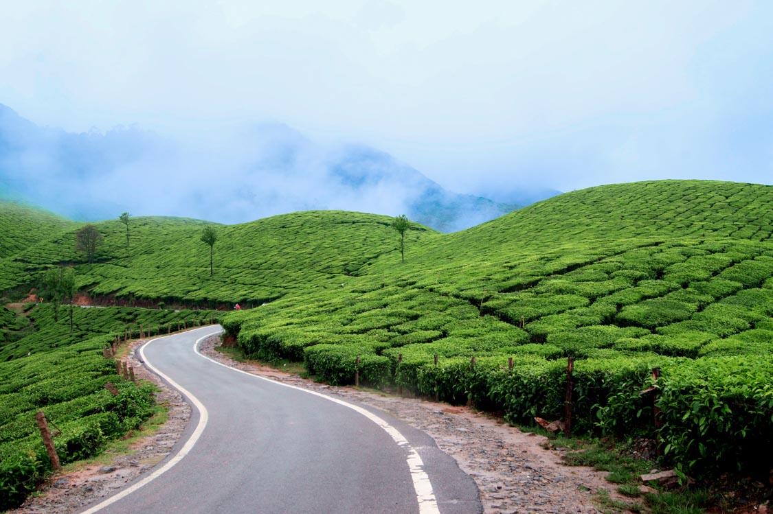 Kerala Tour Package