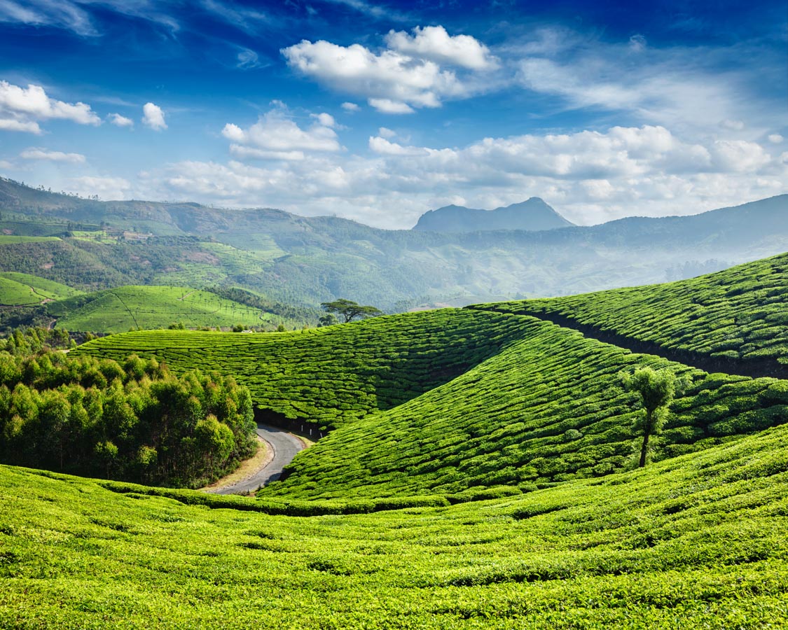Kerala Tour Package